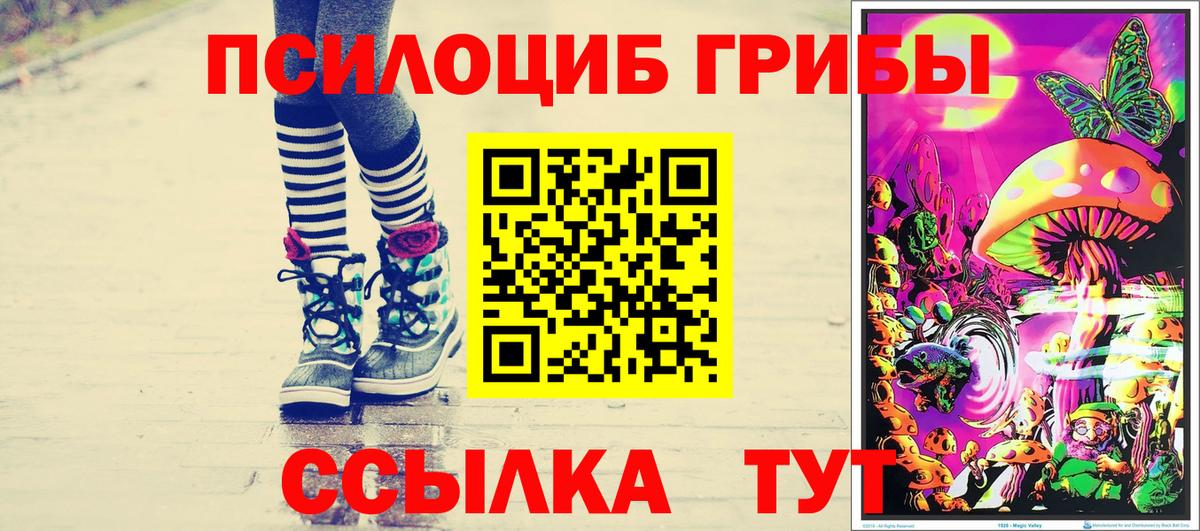 Псилоцибиновые грибы Psilocybe Добрянка